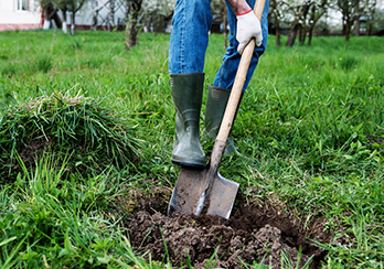 A closeup of a shovel digging a hole
