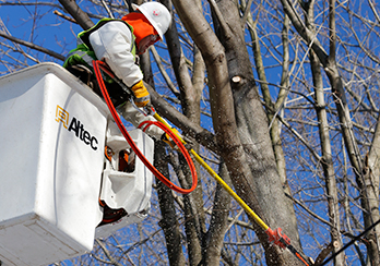 PSEG Long Island in an elevated lift bucket doing work on power lines