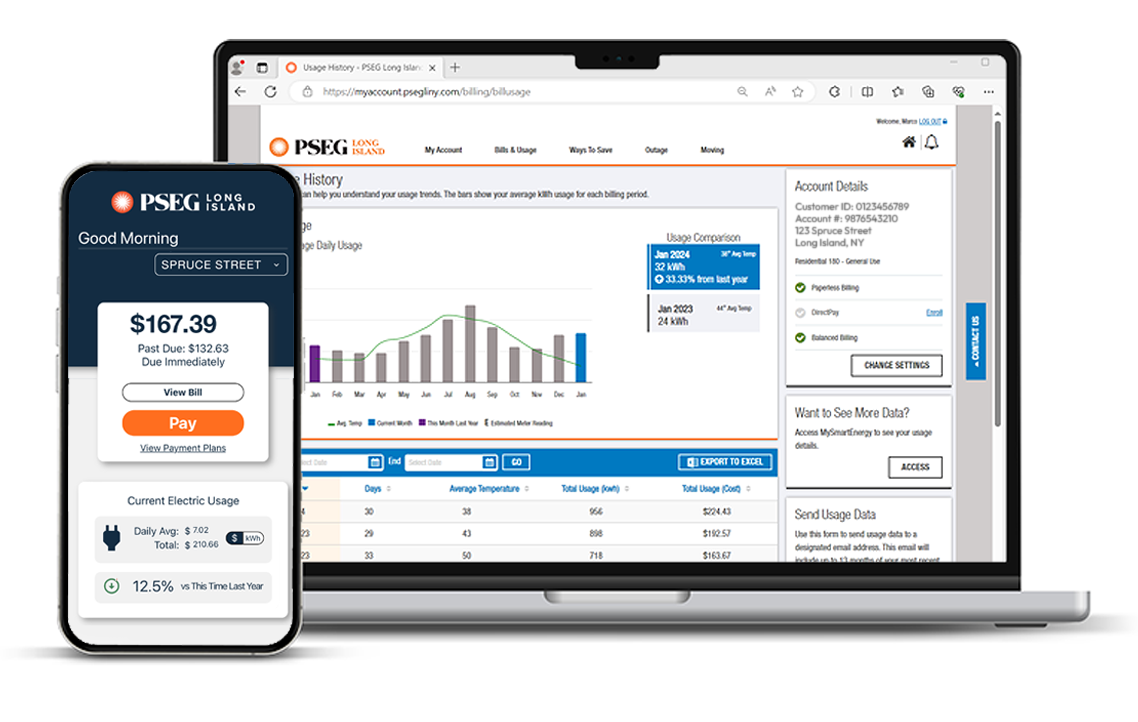 PSEGLI online payments