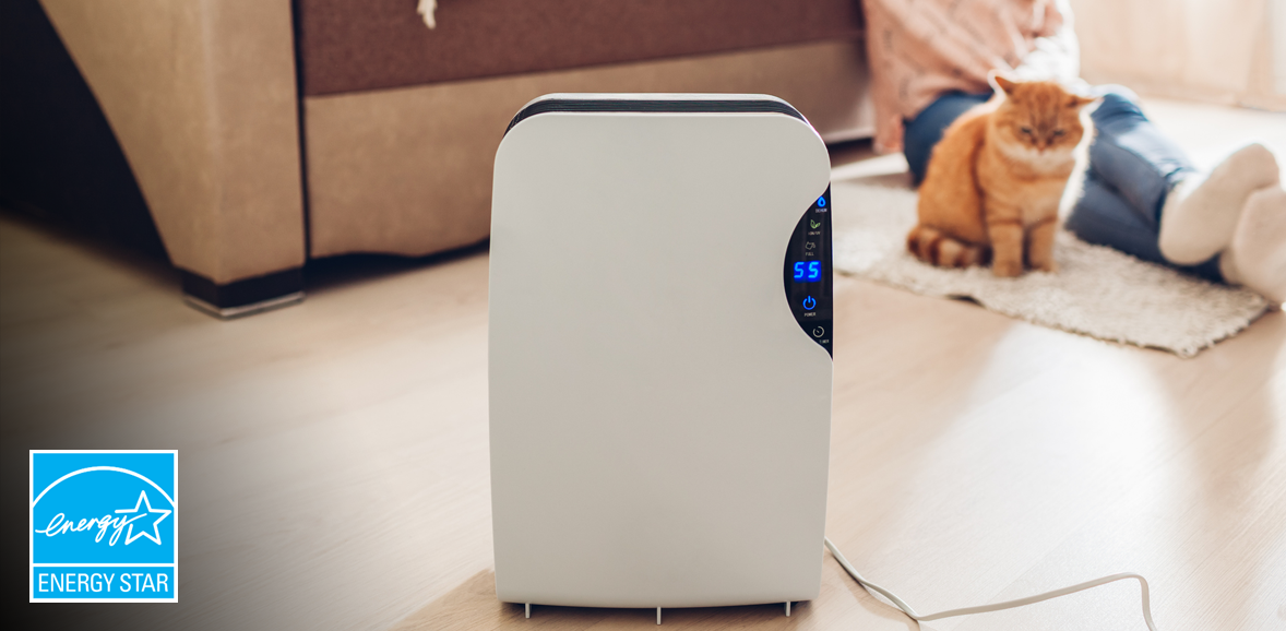 Dehumidifier