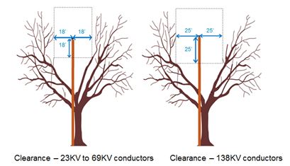 Tree diagram